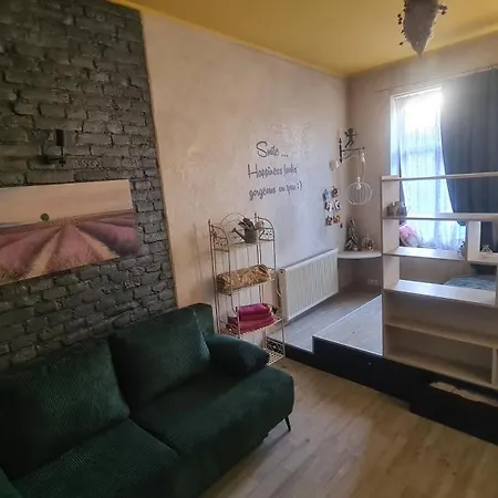 Cozy Compact Flat In The Center Appartement *