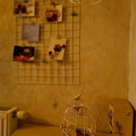 Cozy Compact Flat In The Center