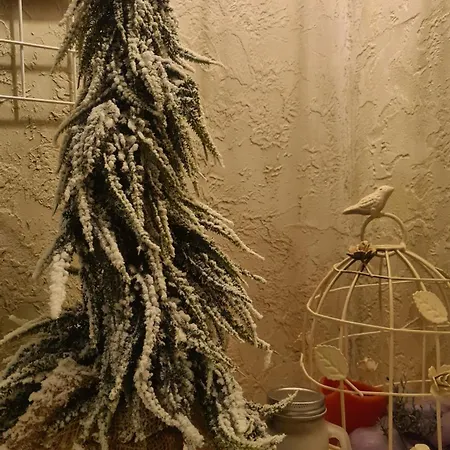 市中心舒适紧凑公寓 公寓 利沃夫